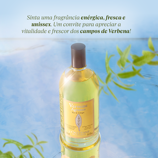 Verveine: O clássico frescor do verão | L'Occitane en Provence